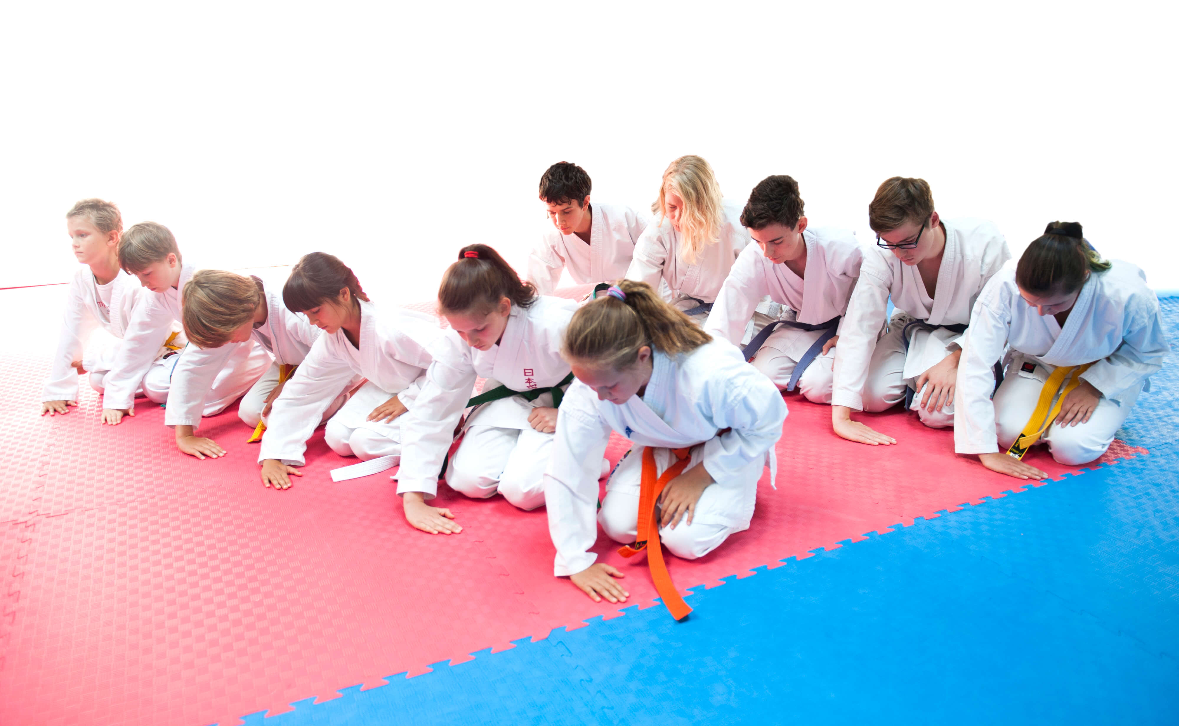 Karate / Karateverein Potsdam Bornim und Bornstedt