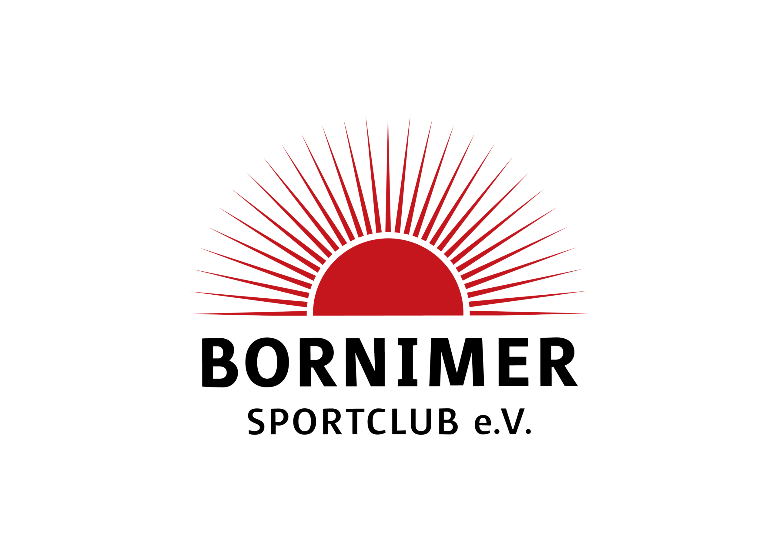 BSC Logo 01 ohne Hintergrund groa scaled